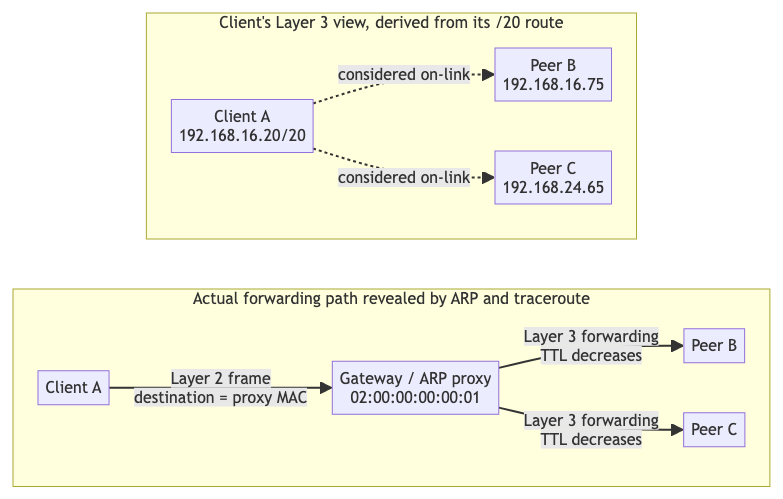 The client's on-link view compared with the actual gateway-mediated forwarding path