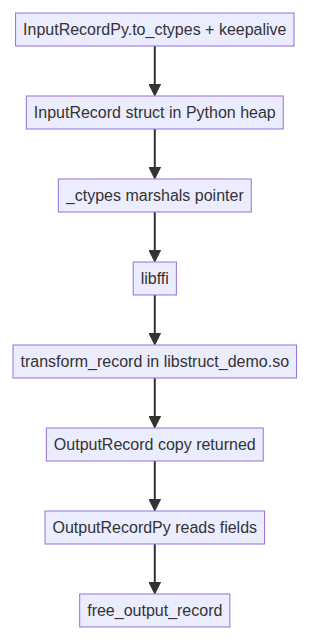 ctypes complex struct call flow